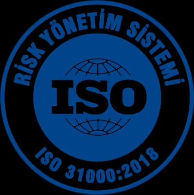 ISO 31000, risk management